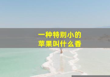 一种特别小的苹果叫什么香