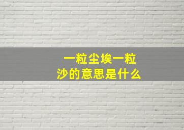 一粒尘埃一粒沙的意思是什么