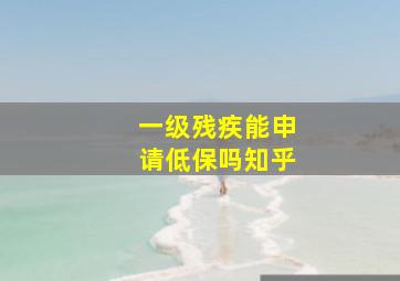 一级残疾能申请低保吗知乎