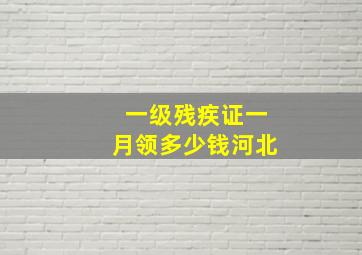 一级残疾证一月领多少钱河北