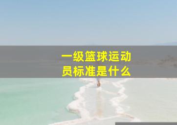 一级篮球运动员标准是什么