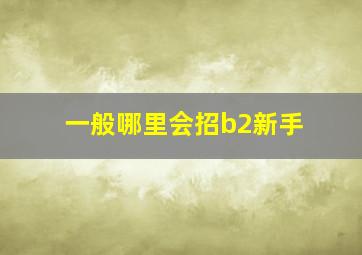 一般哪里会招b2新手