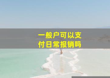 一般户可以支付日常报销吗