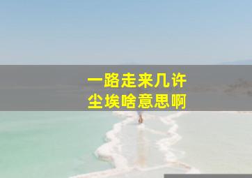 一路走来几许尘埃啥意思啊