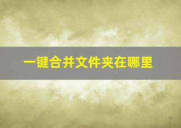 一键合并文件夹在哪里