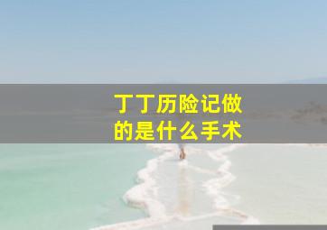 丁丁历险记做的是什么手术