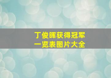 丁俊晖获得冠军一览表图片大全