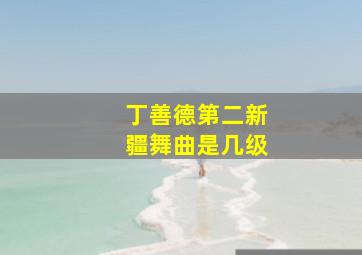 丁善德第二新疆舞曲是几级