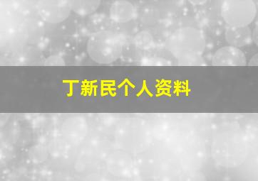 丁新民个人资料