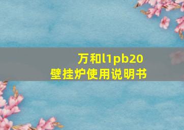 万和l1pb20壁挂炉使用说明书