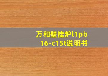 万和壁挂炉l1pb16-c15t说明书