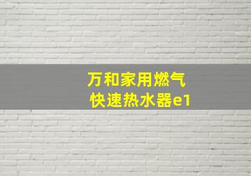 万和家用燃气快速热水器e1