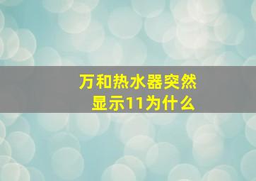 万和热水器突然显示11为什么