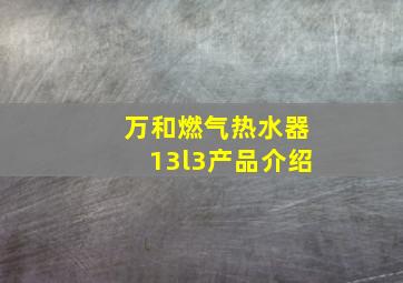 万和燃气热水器13l3产品介绍