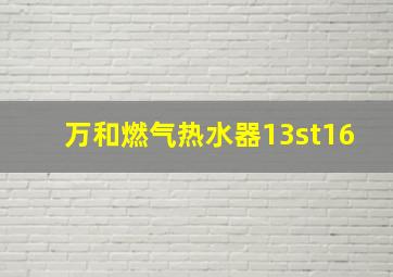 万和燃气热水器13st16