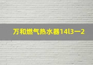 万和燃气热水器14l3一2