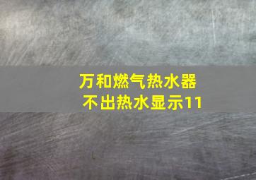 万和燃气热水器不出热水显示11