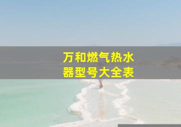 万和燃气热水器型号大全表