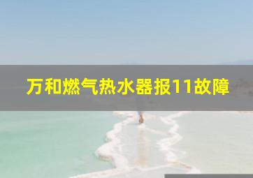 万和燃气热水器报11故障