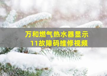 万和燃气热水器显示11故障码维修视频