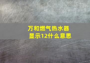 万和燃气热水器显示12什么意思