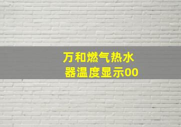 万和燃气热水器温度显示00