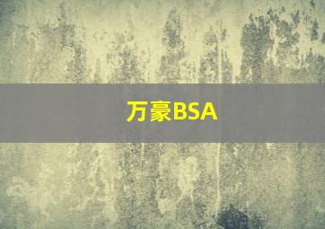 万豪BSA