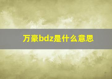 万豪bdz是什么意思