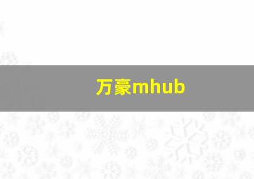 万豪mhub