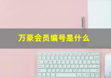 万豪会员编号是什么