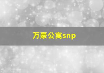 万豪公寓snp