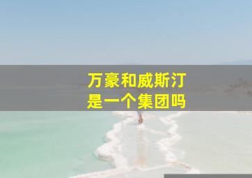 万豪和威斯汀是一个集团吗