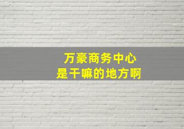 万豪商务中心是干嘛的地方啊