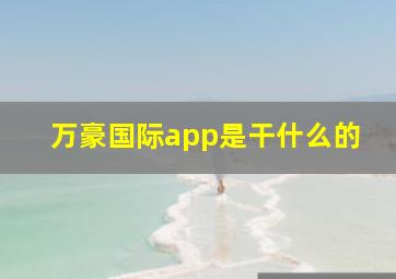 万豪国际app是干什么的