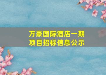 万豪国际酒店一期项目招标信息公示