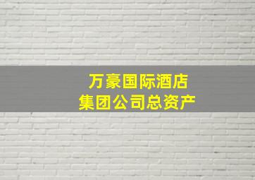 万豪国际酒店集团公司总资产