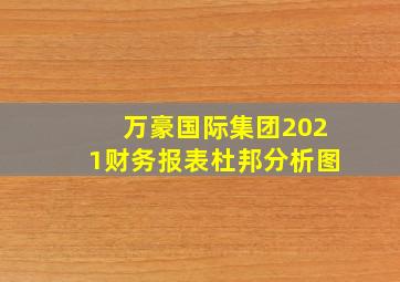 万豪国际集团2021财务报表杜邦分析图