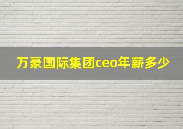 万豪国际集团ceo年薪多少