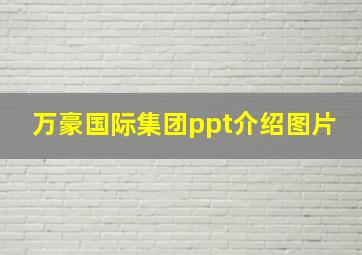 万豪国际集团ppt介绍图片