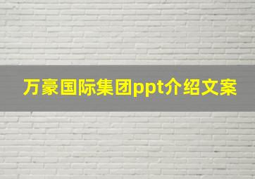 万豪国际集团ppt介绍文案