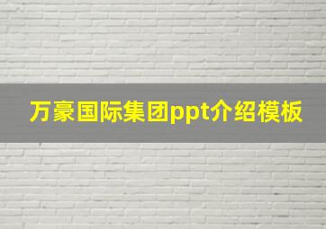 万豪国际集团ppt介绍模板