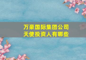 万豪国际集团公司天使投资人有哪些