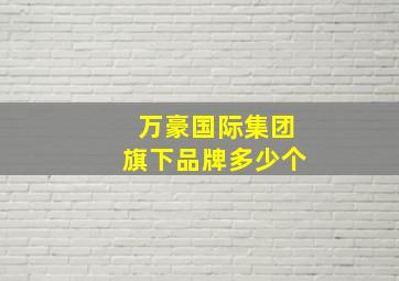 万豪国际集团旗下品牌多少个