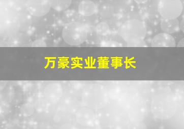 万豪实业董事长