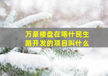 万豪楼盘在喀什民生路开发的项目叫什么