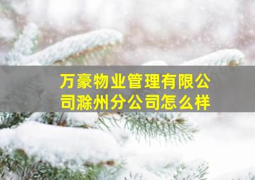 万豪物业管理有限公司滁州分公司怎么样