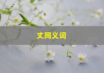 丈同义词