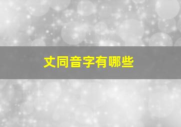 丈同音字有哪些