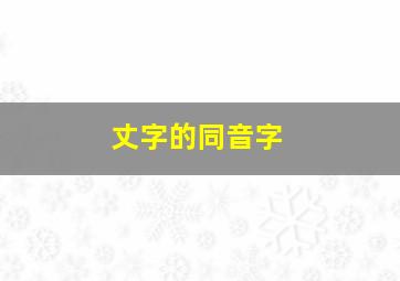 丈字的同音字