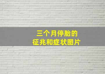 三个月停胎的征兆和症状图片